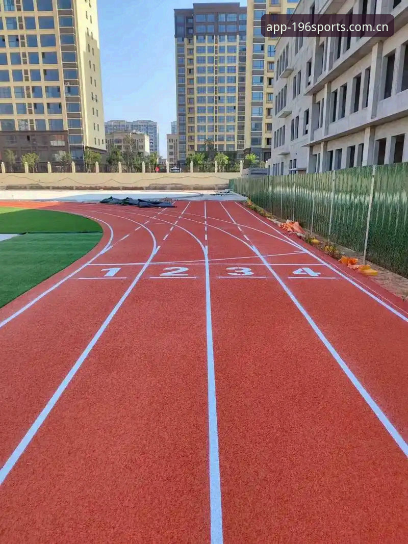 体育专业平台 揭秘196体育平台:技术评测视角下的专业平台真面目